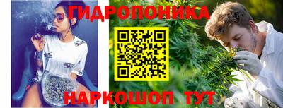 индика Шелехов