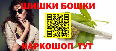 индика Шелехов