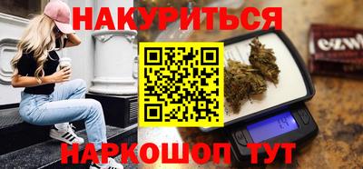 индика Шелехов