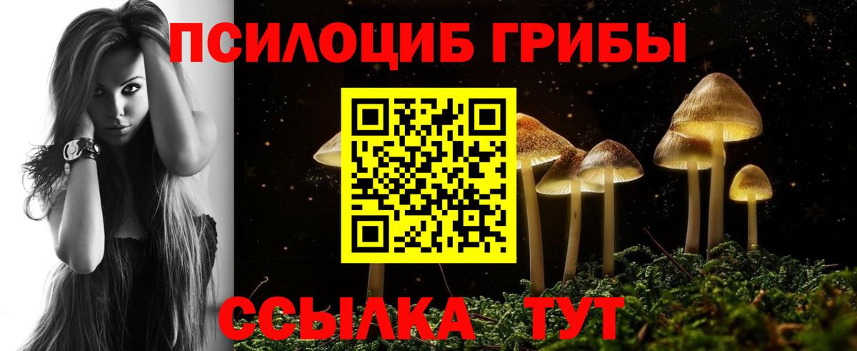 Псилоцибиновые грибы Cubensis  Вход с VPN  Благодарный 